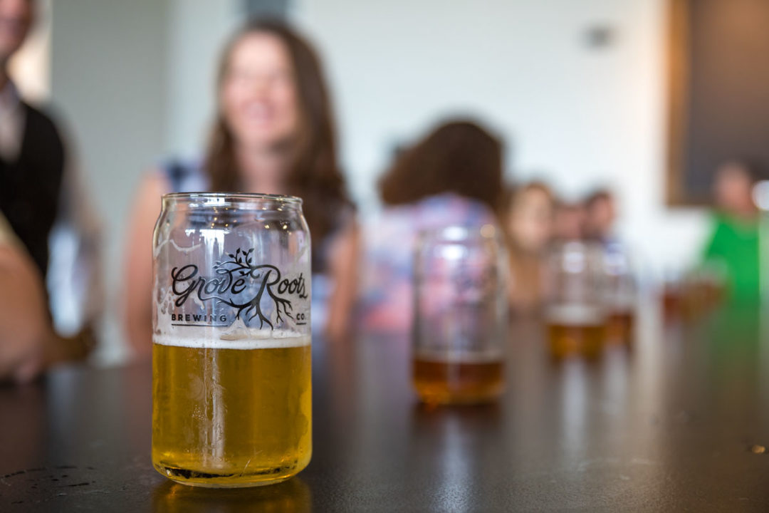 Tasting Room | Grove Roots Brewing Co.
